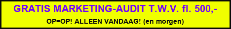 Gratis marketing-audit